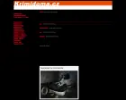 Krimi zpravodajství