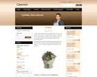 Cashnet