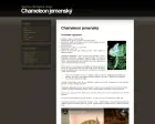 Chameleon jemenský