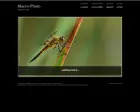 MacroPhoto - vážky Karlovarska
