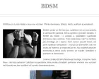 BDSM